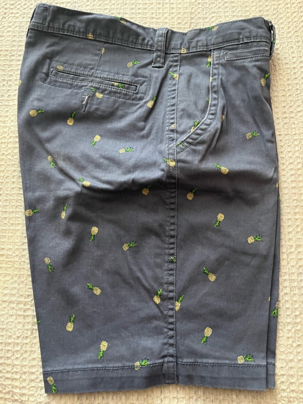 Arizona Jean Company Navy Shorts with Pineapple Embroidery